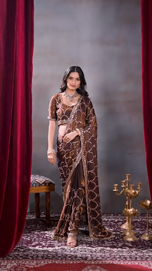 Brown Fandy silk sequin designer saree with embellished border and designer blouse