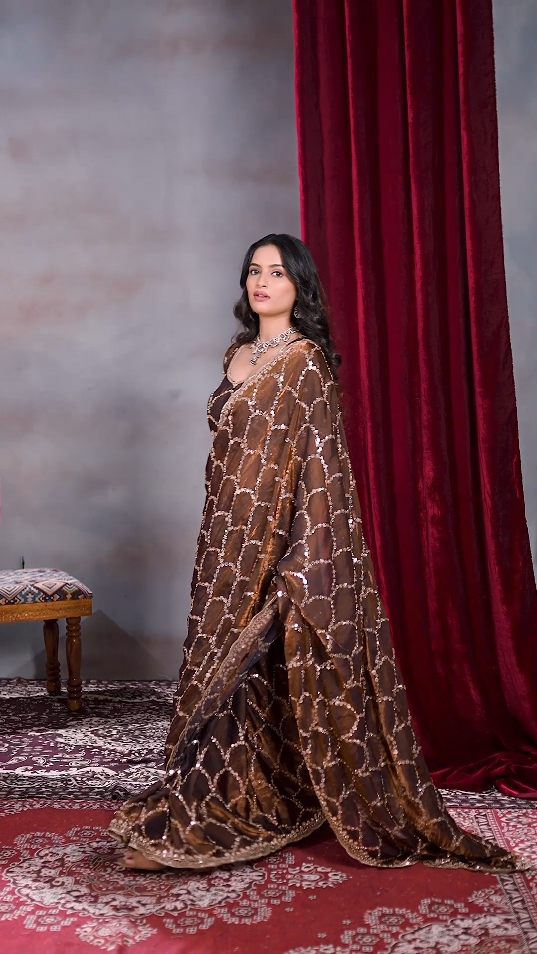 Brown Fandy silk sequin designer saree, third view