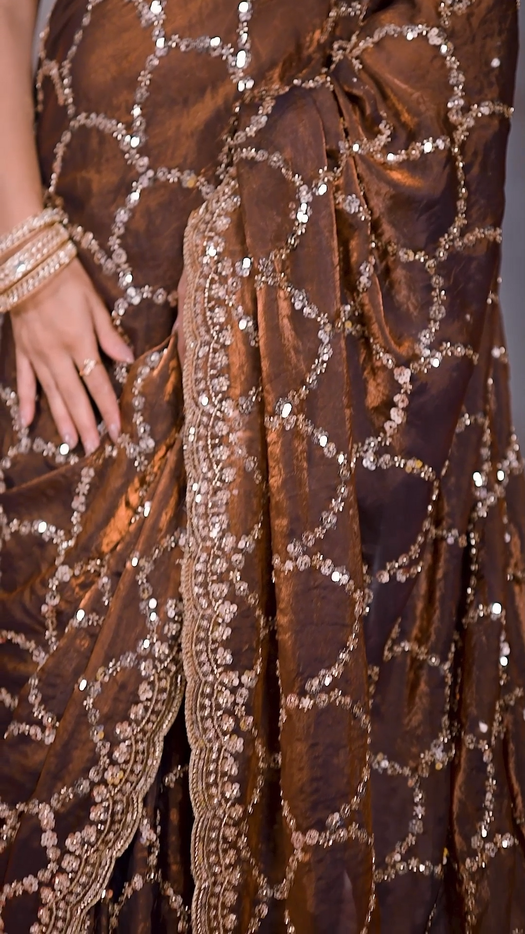 Brown Fandy silk sequin designer saree, fourth view